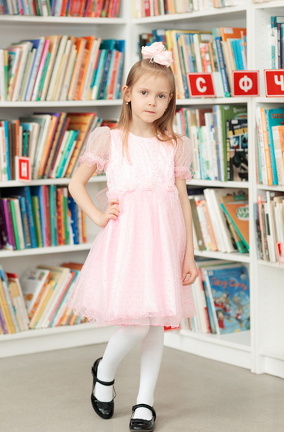 LEV 6508-редакт